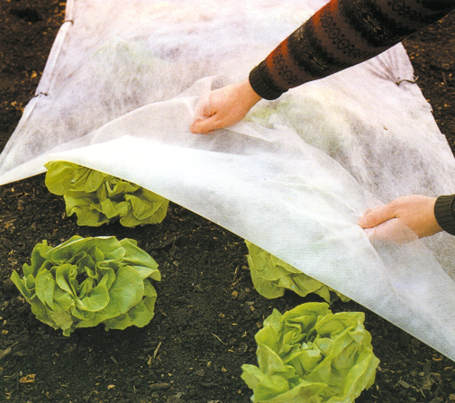 Plantex® Protecmax - Schutzvlies 1,0 x 20 m