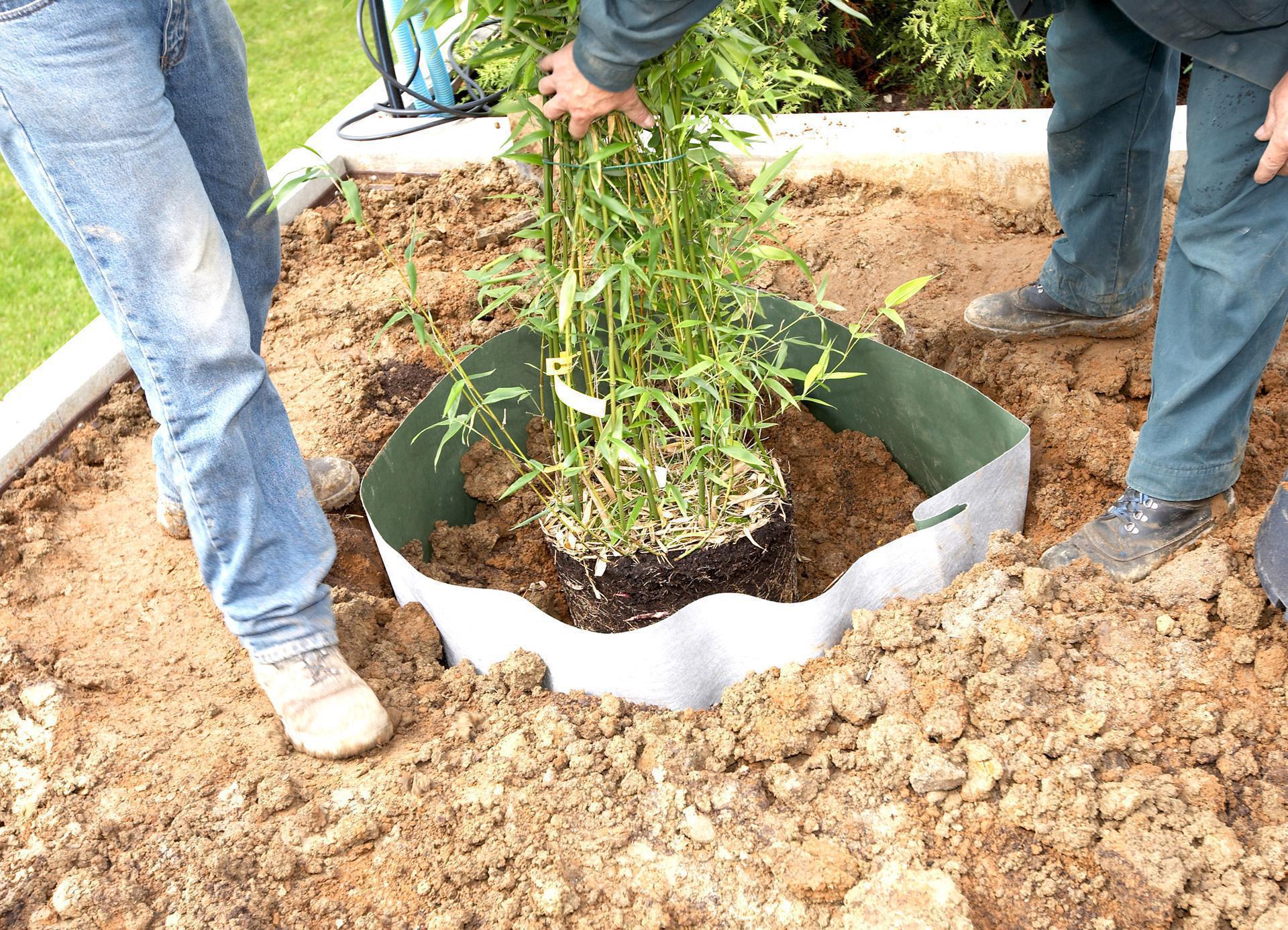 Plantex Wurzelsperre (Root Barrier) - Großsrolle 0,7 x 30 m